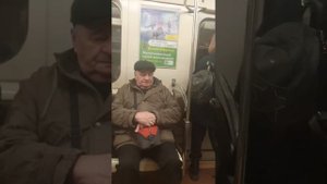 Поезд от Спасской до Горного Института Линия 4 спб