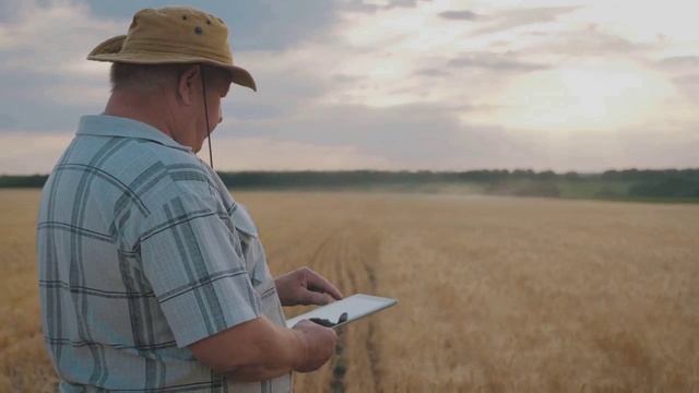 ЕС вернет таможенные пошлины для украинской сельхозпродукции с 6 июня