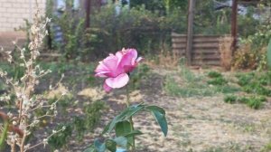 Тест камери OnePlus 12 4k 60FPS