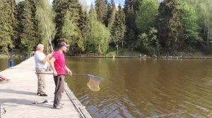 Поимка карпа