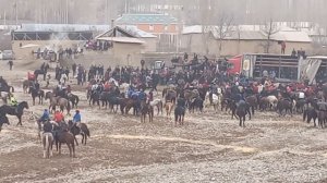 Бузкаши далёни боло.Диёр бо аспи Дубай сити