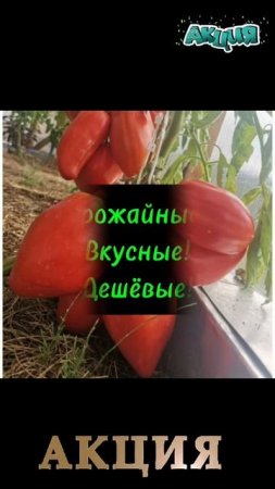 Акция!!! Подпишись не пропусти!!
