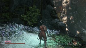 Sekiro Shadows Die Twice