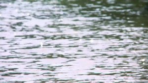 Азъ Боги Веди Глаголи Добро Есть Есмь