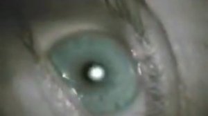 ДДТ &quot;Расстреляли рассветами&quot;.flv