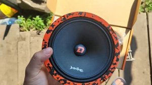 Обзор на динамики от компании DL audio  Barracuda 165