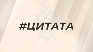 Из интервью А.И. Бастрыкина информационному агентству ТАСС