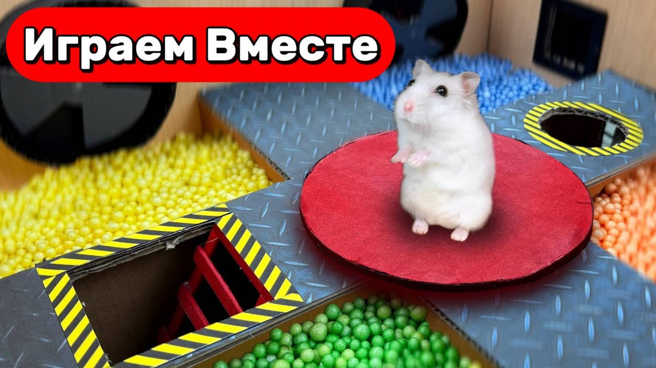 Хомяк в подземном лабиринте 🐹 Строим яркий маршрут с препятствиями для Умного Хомяка