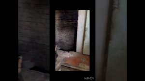 Продажа дома поселок Воля, Воронежская область, 40 км д?