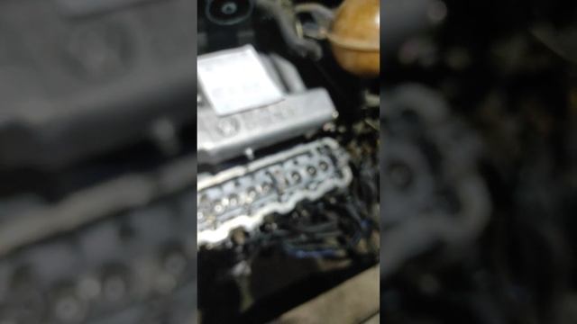 Фольксваген Т4 з яким моментом затягувати ГБЦ і послід смотреть онлайн