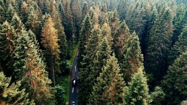 тест 23.05 смотреть онлайн