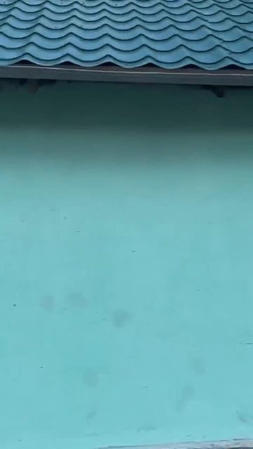 Горный Кишлак в Таджикистане смотреть онлайн