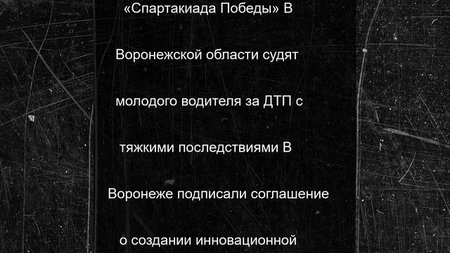 Воронежский парк поделился новыми фотографиями повзрослевшей альпаки