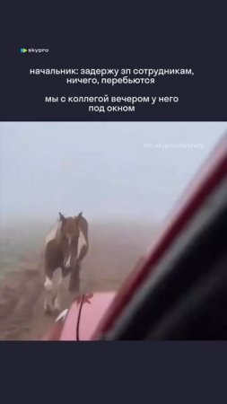 Подождииите #работа