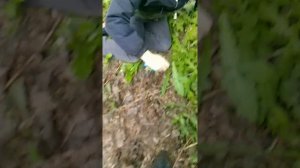 проблемы жизни 1 сезон 1 серия
Гопник