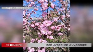 "По весточке": всё чудеснее и чудеснее