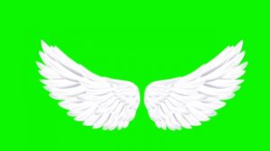 Крылья на зелёном фоне #5