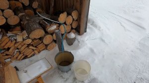 Заготовка дров в деревне, пилим валежник.
