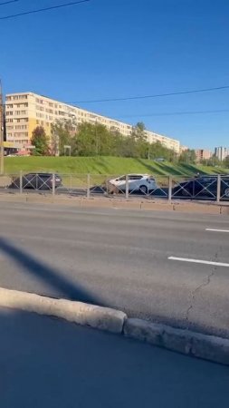 Лось не пострадал.
