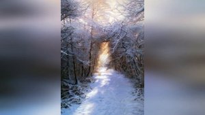 Надежда Симонян – Вальс из фильма-сказки "Двенадцать ?