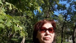 Дисциплина. Как научиться быть безупречным и дисциплинированным?