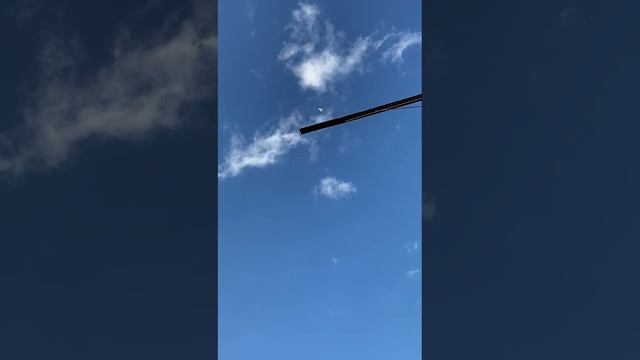 25.05.2025г Тула Состоится Ярмарка Голубей и Сельхоз Птицы ул Галина 1 Д