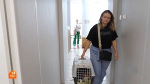 Знакомство с породой босерон | Элита