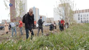 В Карелии продолжается голосование за благоустройство территорий