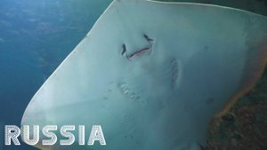 [RU] Красногорск: Пешеходная экскурсия [Крокус Сити Океанариум "Моря и Океаны" / Panasonic HC-X1600]