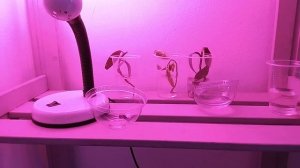 Выставка постеров в "Теплице"