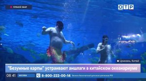 «Безумные карпы» устраивают аншлаги в китайском океанариуме