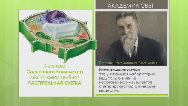 Солнечный  Комплекс- живая зеленая клетка. Ген. директор Академии Свет  Кузнецова И.С.