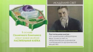 Солнечный  Комплекс- живая зеленая клетка. Ген. директор Академии Свет  Кузнецова И.С.