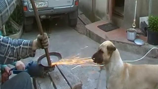 !!!СМОТРЕТЬ ВСЕМ!!! смотреть онлайн