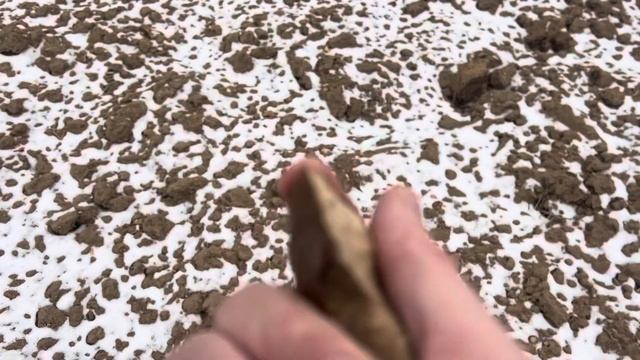 Находка на берегу Москвы-реки: каменный нож в форме пт? смотреть онлайн