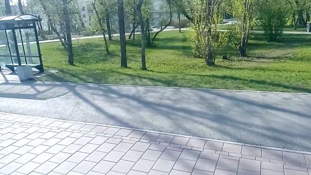 Екатеринбург Автобус №27 СТЦ Мега - ЖБИ смотреть онлайн