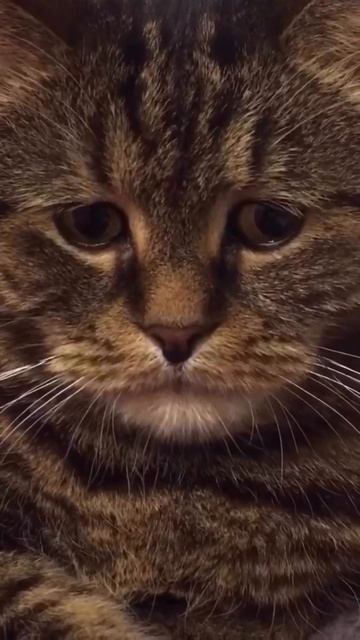 Состояние более-менее, веселиться не хочется... Продол? смотреть онлайн