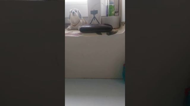 обзор на ароматизатор на панель автомобіля смотреть онлайн