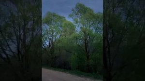 Не улетай ввысь, не убегай в даль #фролова #песня