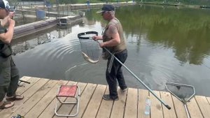 Осетрина на креветку