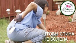 Садовые работы. Чтобы спина не болела
