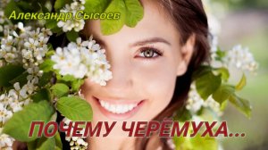 Александр Сысоев  ПОЧЕМУ  ЧЕРЁМУХА