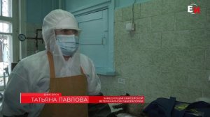 УЧЕНИЯ ПО ЛИКВИДАЦИИ УСЛОВНОГО ОЧАГА ОСПЫ ОВЕЦ И КОЗ