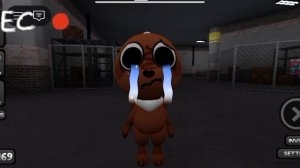 Какао и бесси