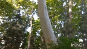 30 АПРЕЛЬ ФАРГОНА ЧИМЕН ТЕМИРЙУЛЧИЛАР САНАТОРИЯСИ💚💙