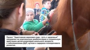 Проект Адаптивная верховая езда - путь к здоровью - Донской государственный технический университет