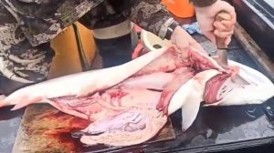 Разделка тайменя рыбацким ножом