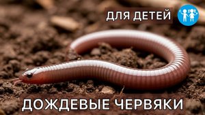 Удивительные факты о дождевых червяках!