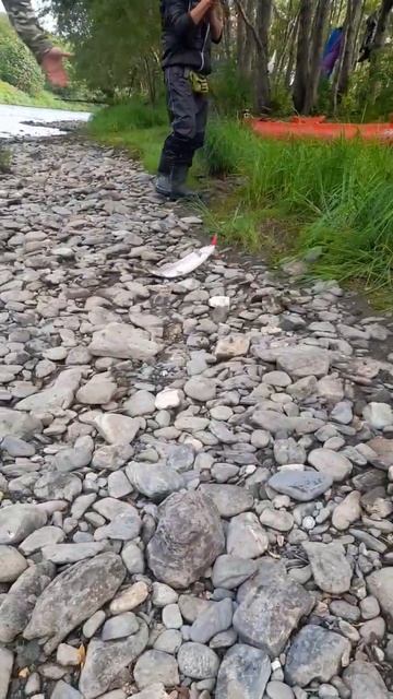 Рыбалка Камчатка сплавы походы водныйтуризм смотреть онлайн