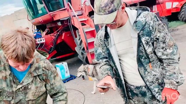 Разбираем китайский компрессор на американском комба смотреть онлайн